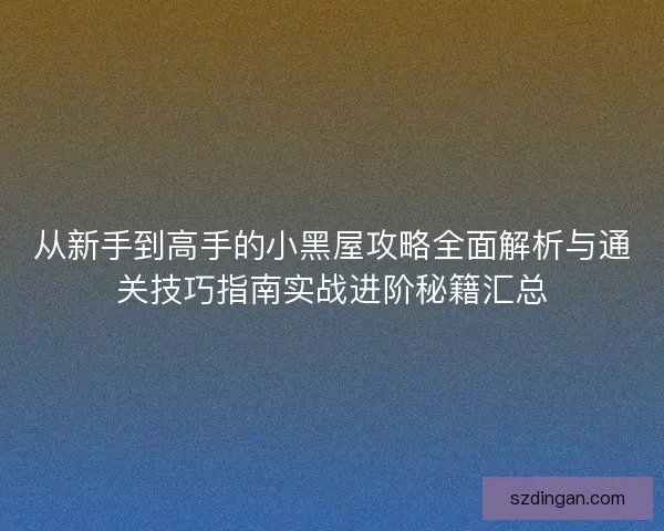 从新手到高手的小黑屋攻略全面解析与通关技巧指南实战进阶秘籍汇总
