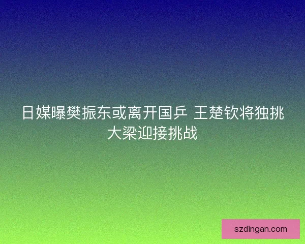 日媒曝樊振东或离开国乒 王楚钦将独挑大梁迎接挑战